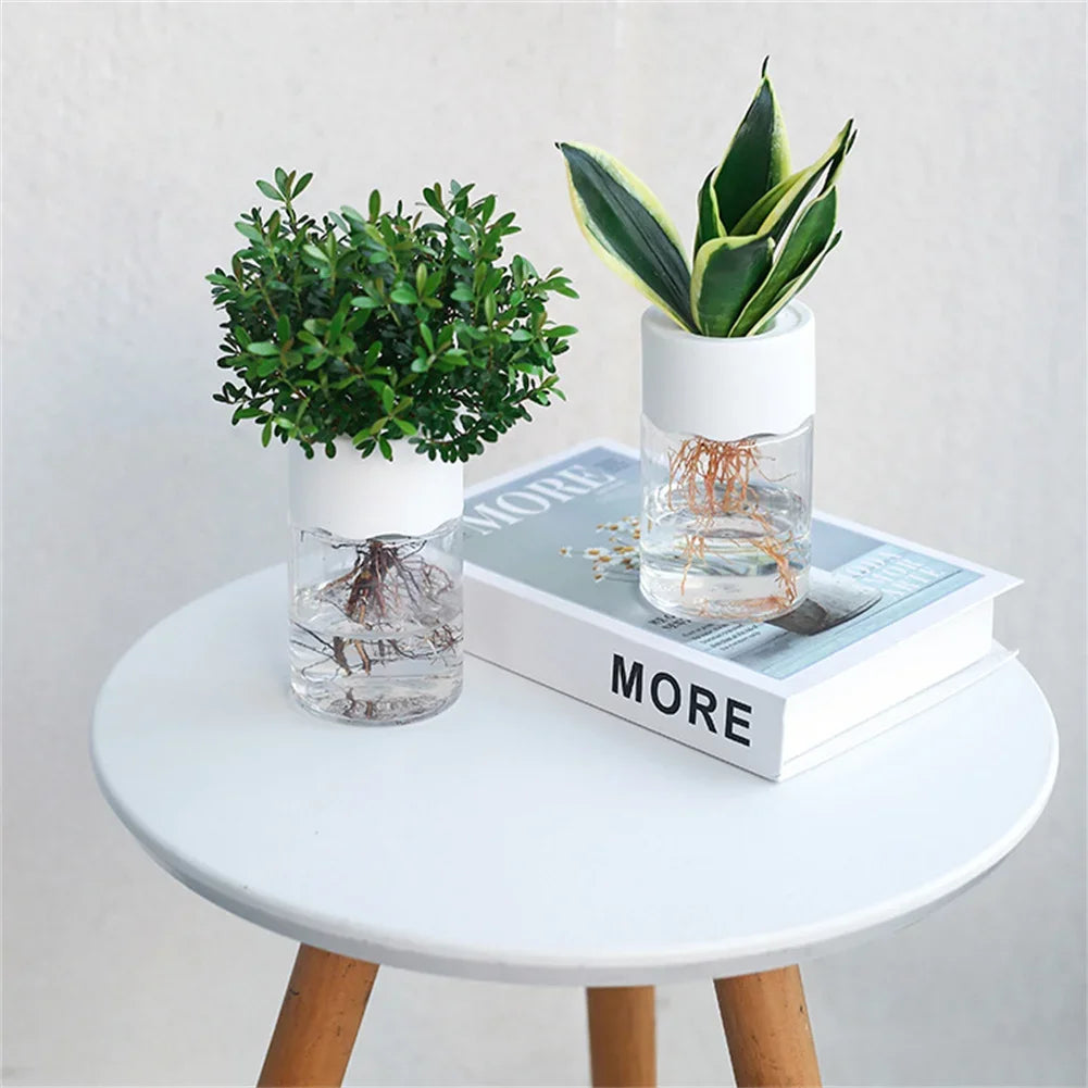Mini Hydroponic Flower Decoration Vase