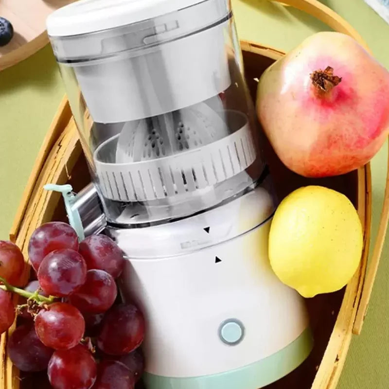 Mini Portable Electric Fruit Juicer