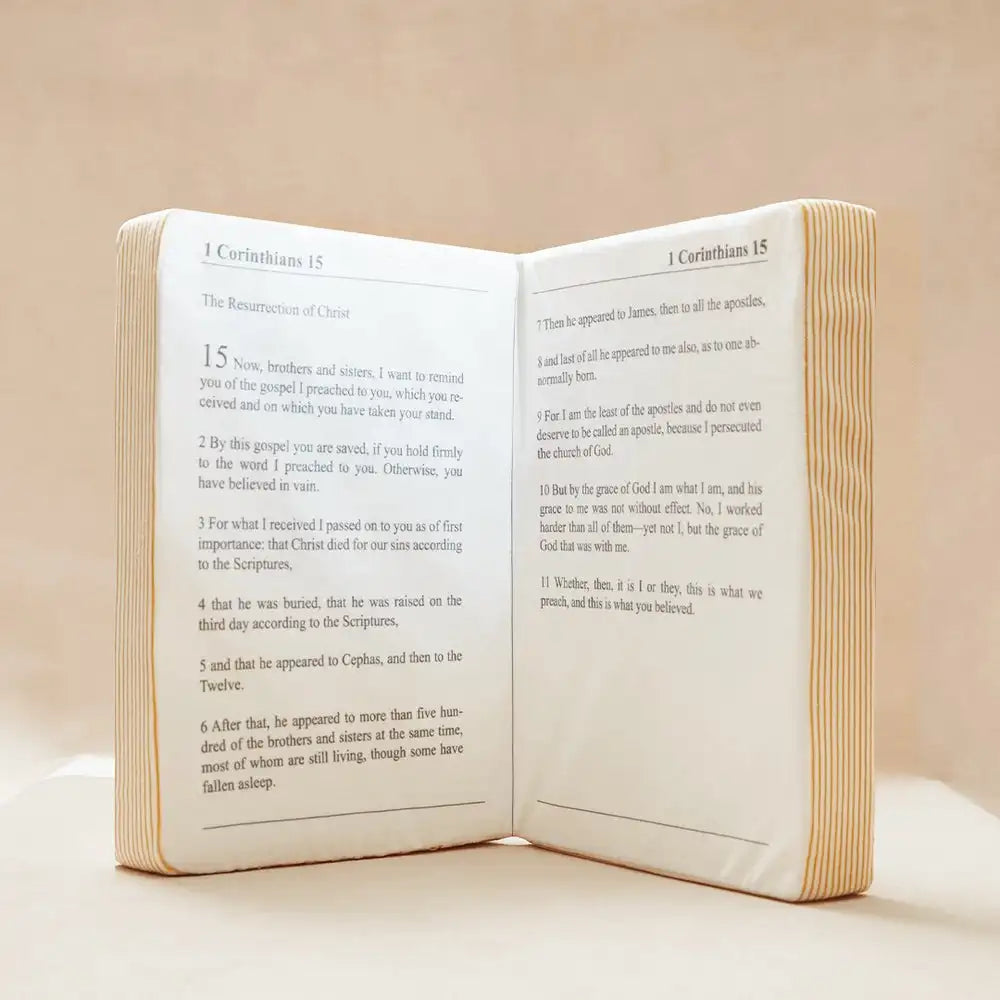 Holy Bible Pillow