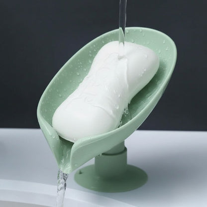 Shape Soap Dish
