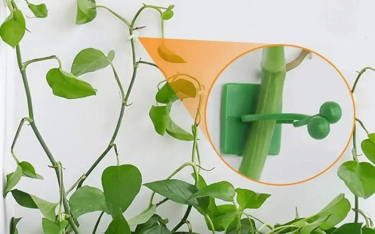 Wall Clip for Plants
