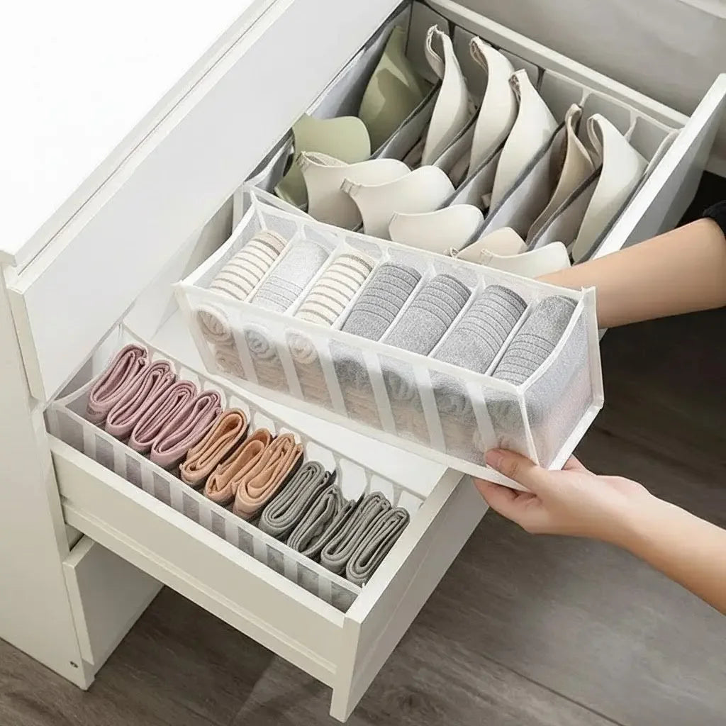 Mesh Grid Intimate Clothing Organizer Kit