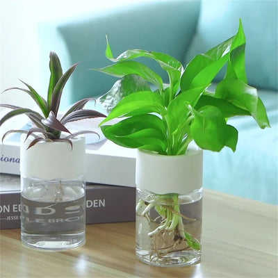 Mini Hydroponic Flower Decoration Vase