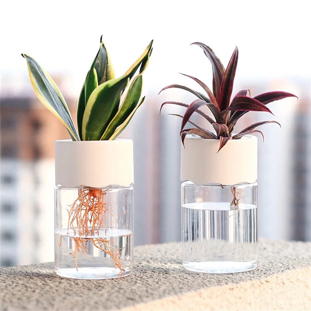 Mini Hydroponic Flower Decoration Vase