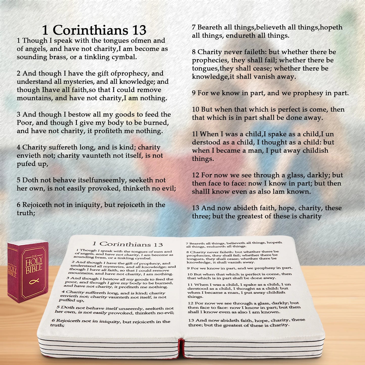Holy Bible Pillow