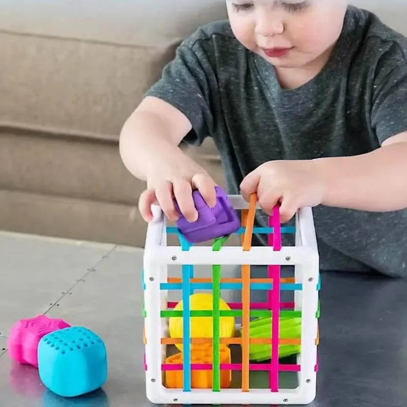 Children's Sensory Challenge Box Toy