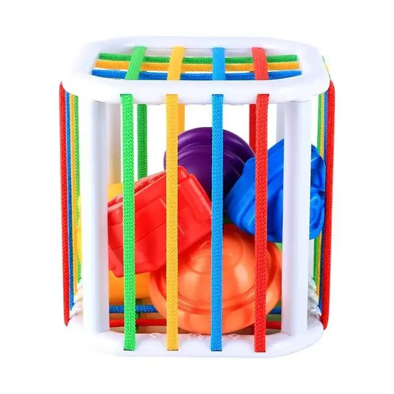 Children's Sensory Challenge Box Toy