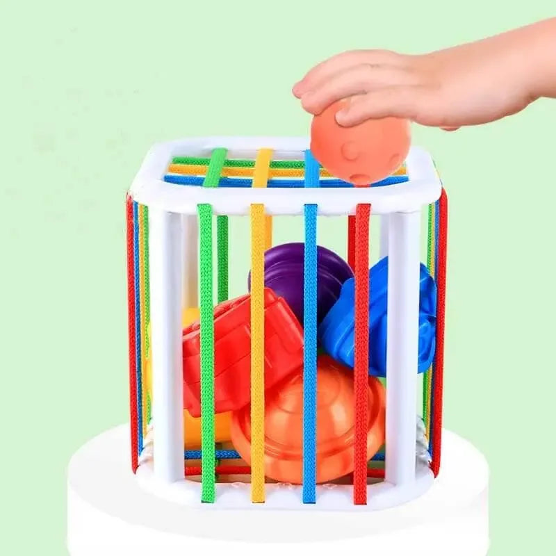 Children's Sensory Challenge Box Toy