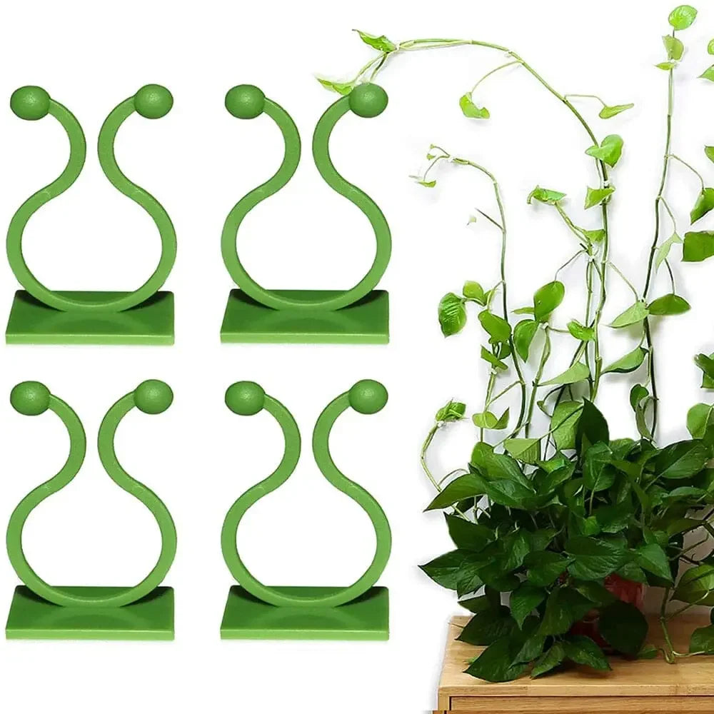Wall Clip for Plants
