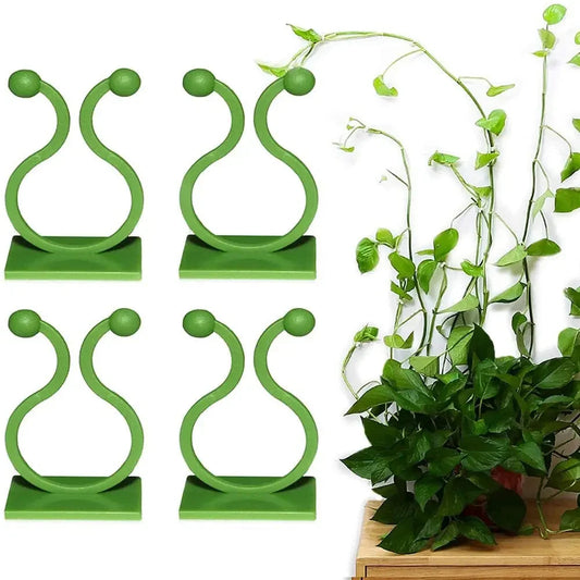 Wall Clip for Plants