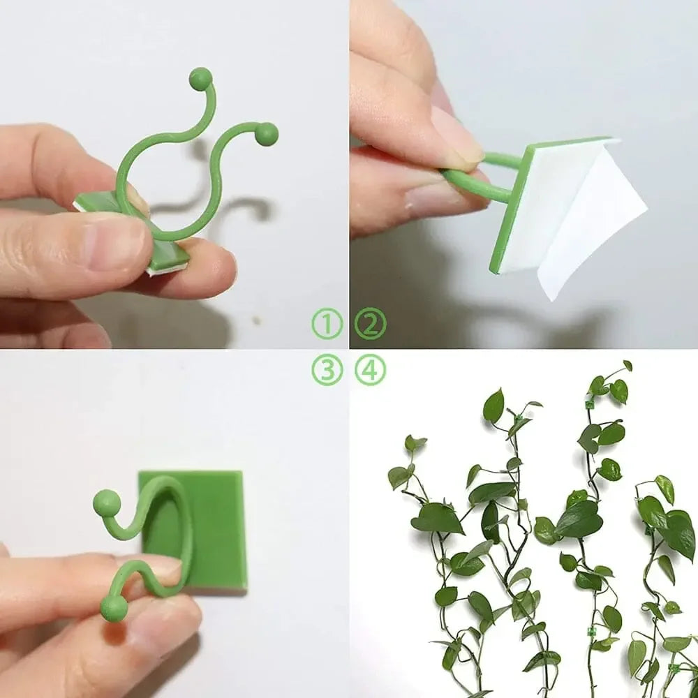 Wall Clip for Plants
