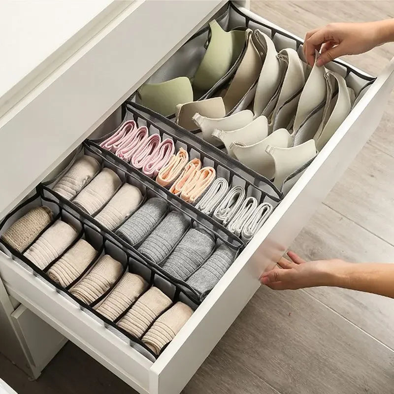 Mesh Grid Intimate Clothing Organizer Kit