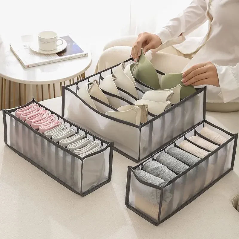Mesh Grid Intimate Clothing Organizer Kit
