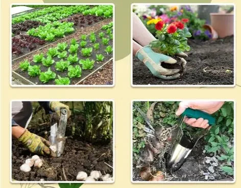 Easy Seedling Transplanter
