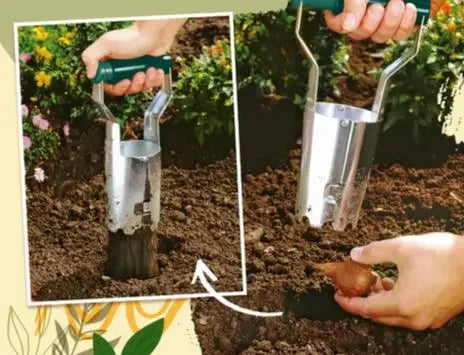 Easy Seedling Transplanter